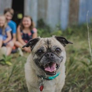 Meet your Posher, Stacy